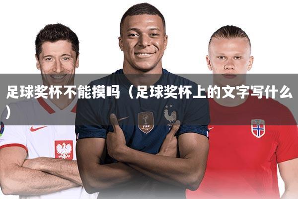 足球奖杯不能摸吗（足球奖杯上的文字写什么）