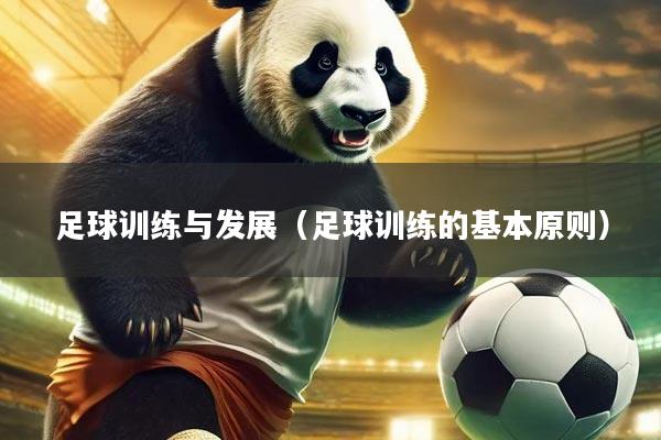 足球训练与发展（足球训练的基本原则）