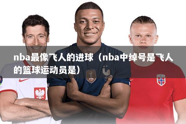 nba最像飞人的进球（nba中绰号是飞人的篮球运动员是）