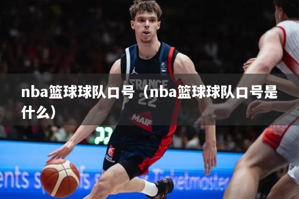 nba篮球球队口号（nba篮球球队口号是什么）