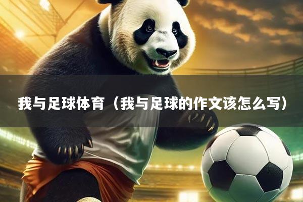 我与足球体育（我与足球的作文该怎么写）
